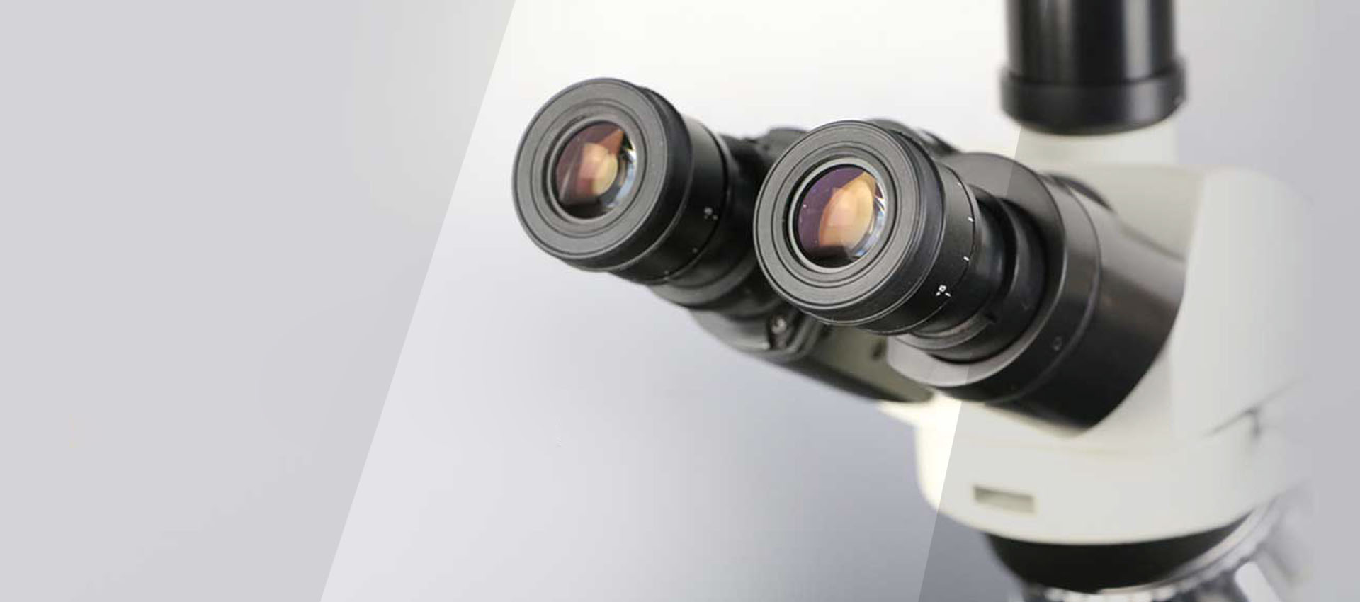 濰坊眾樂家食品有限公司